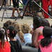 3º Encontro de Palhaços de Mariana