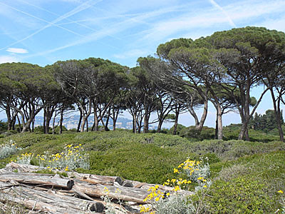 traces dans le ciel.jpg