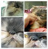 I miss You Kimiko