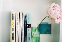 Book Shelves