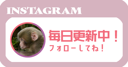 嵐山モンキーパークいわたやま