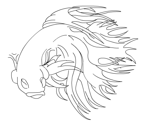 betta drawing at getdrawings  free download