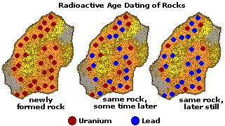 Earth Floor Geologic Time
