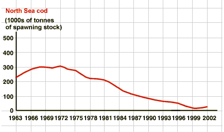 Graph showing the decline of North Sea cod stocks since the 1960's.