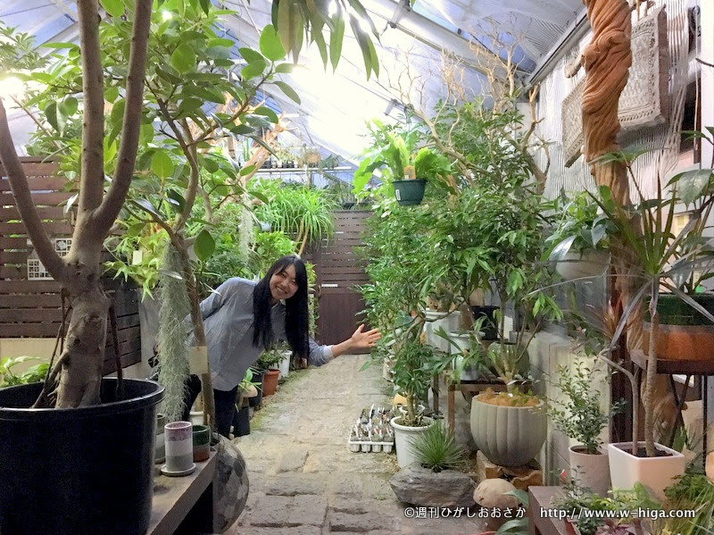 まるで楽園 観葉植物とカフェ Leaves Of Grass リーブズオブグラス 週刊ひがしおおさか