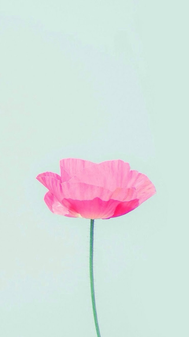 Wallpaper Iphone用壁紙27枚 14 07 08 花 木 Bitzedge