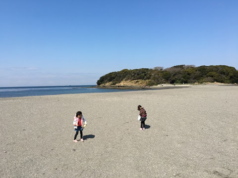 千葉県館山の沖ノ島で磯遊びや貝殻拾いを満喫 洞くつ探検もできますよ アラフォーの美 高齢ママ育児編