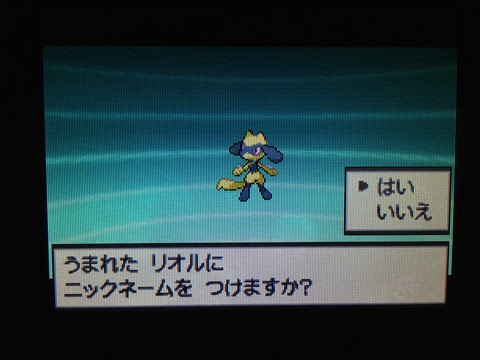 色違いいつ出るんだよ 色リオル