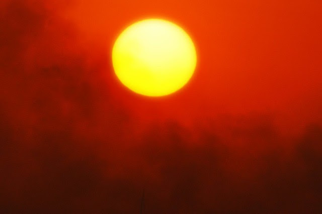 SUN