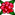 バラ