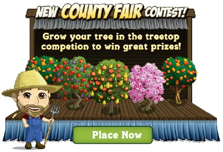 County Fair 2