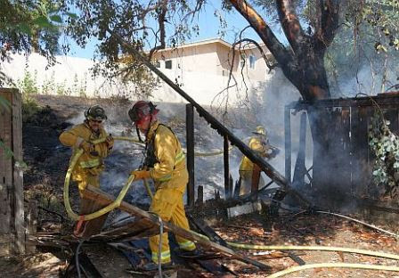 The small fire scorched an area of brush in the ravine, destroyed two wooden fences that bordered homes there and damaged some surrounding eucalyptus trees.(Joe Fanaselle/SWRNN)