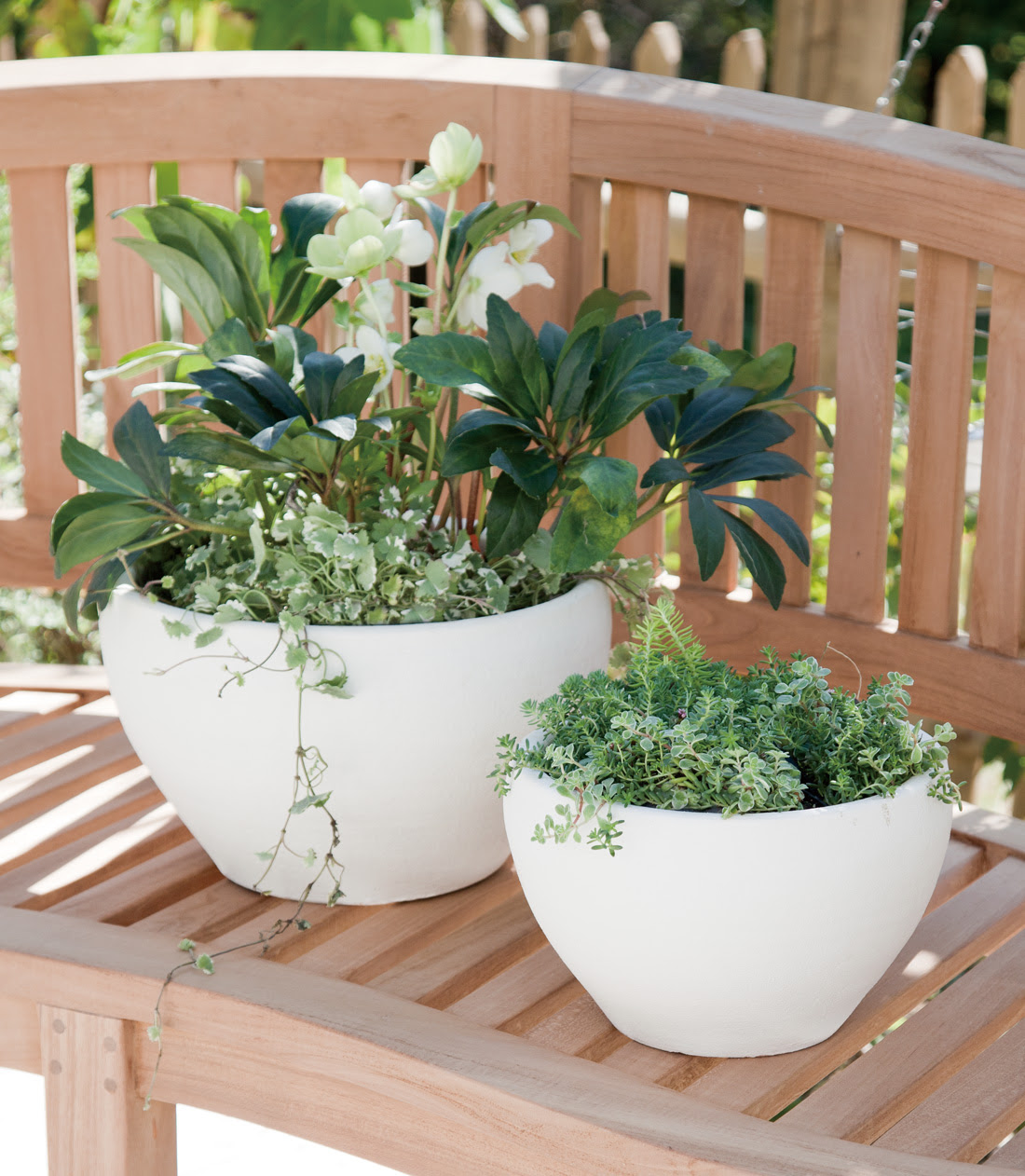 寄せ植えをおしゃれに演出する植木鉢 寄せ植えの手順や一部の植物が枯れる理由と対処法なども 植木鉢ナビ