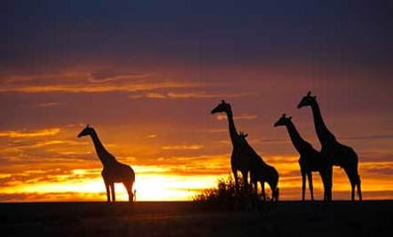 9 Best Sunsets in the World
