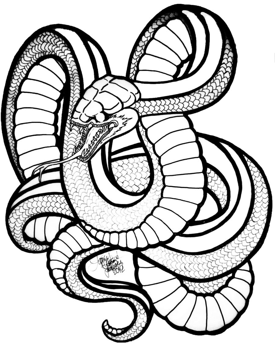 Snake Face Drawing at GetDrawings | Free download