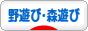 にほんブログ村 アウトドアブログ 野遊び・森遊びへ