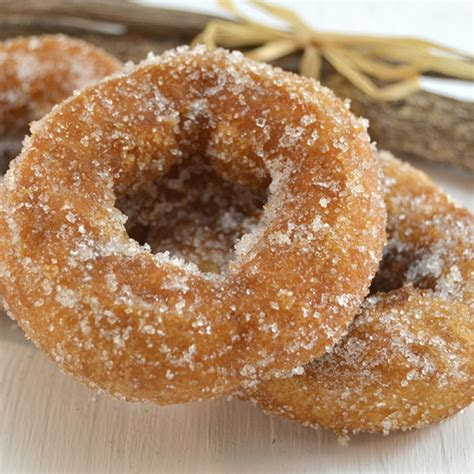 plain cake donut recipes dishmaps