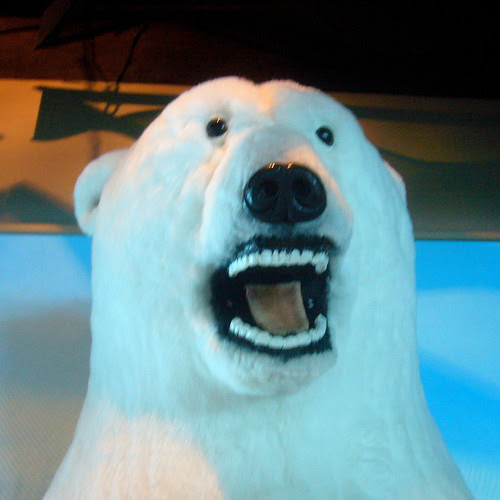 Bad Taxidermy