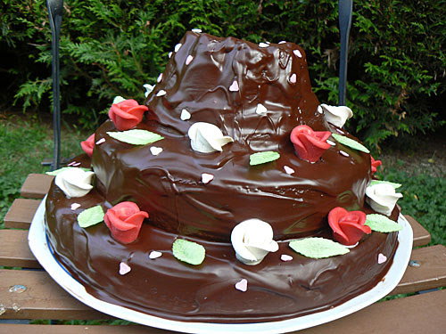gâteau d'Alice.jpg