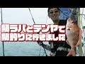 [10000ダウンロード済み√] アコウ 釣り方 船 890465-アコウ 釣り方 船