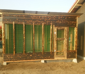 鶏小屋掲示板