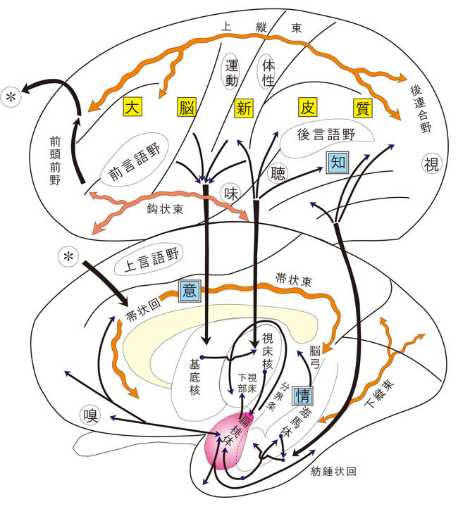 無題ドキュメント
