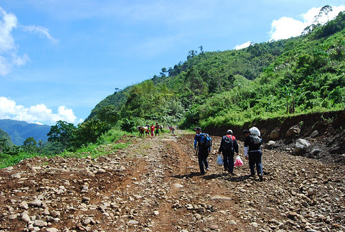 view 4
