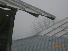 Picture 694