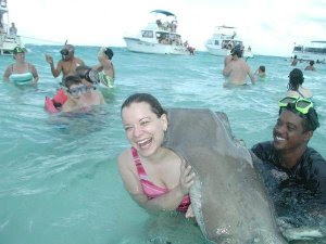stingrays