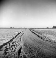 Long way Home