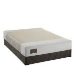 Sealy Embody Perspective Latex Mattress - Queen - Set