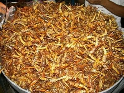 Obat Paling Menjijikan Di China [ www.BlogApaAja.com ]