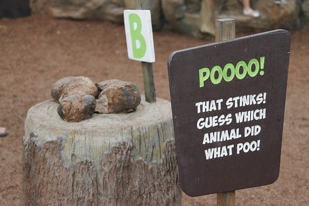 AustraliaZoo17