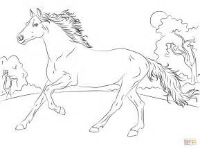 Plus, it's an easy way to celebrate each season or special holidays. coloring pages for girls horse free coloring home