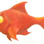 poisson-anouk