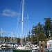 New mast and rigging...all installed