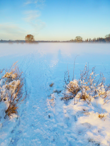 Wintertraum4