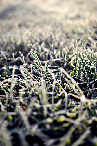 frost2