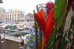 Flowers in the Office #2