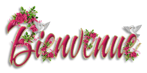 Bienvenue