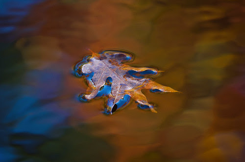 Autumn Rhythms by Jeka World Photography