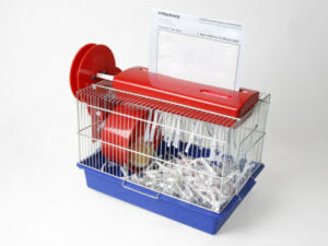 Papierversnipperaars, al dan niet hamster-powered zoals deze van een Engelse student, bestaan niet in de kwantumwereld.