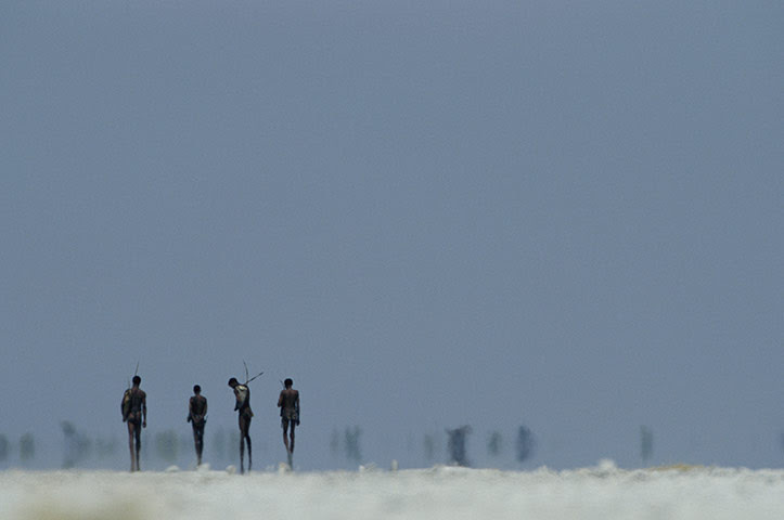 Disappearing world: Hunters from the San tribe cross a salt pan in the Kalahari.
