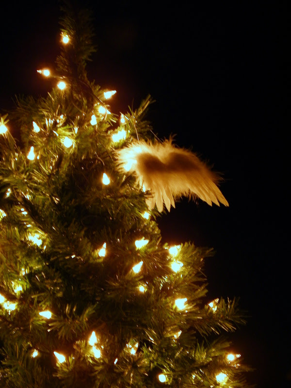 Wings On A Tree