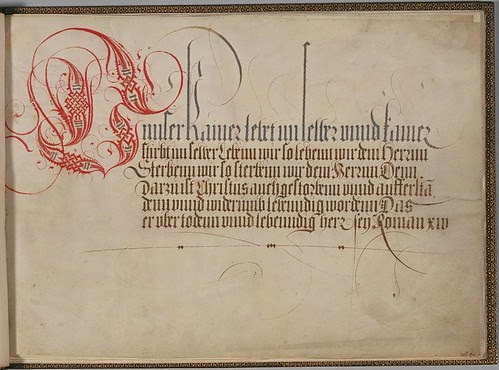Plimpton MS 300 - Stephan Brechtel a