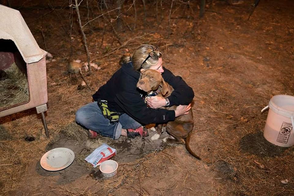 A cachorra Nina recebendo um abraço carinhoso da voluntária Amie, da ONG Carolina Waterfowl Rescue Society, durante o resgate. (Foto: Reprodução / Facebook / Carolina Waterfowl Rescue Society)