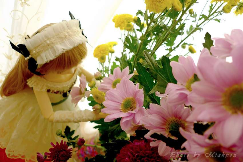 N4D9oVc_7YGjGG9EWlIfa7YpYUaPXSUFRGoJTNXZ