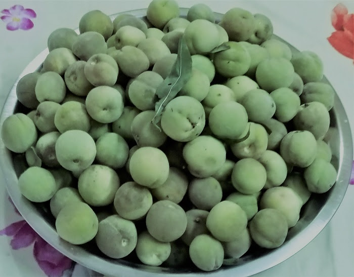 Prunus Persica L Batsch ru आर du Phuniyee ru Himalayan Wild Food Plants