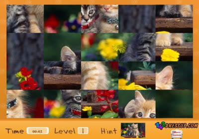 Cute Pets