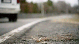 tv show gifs